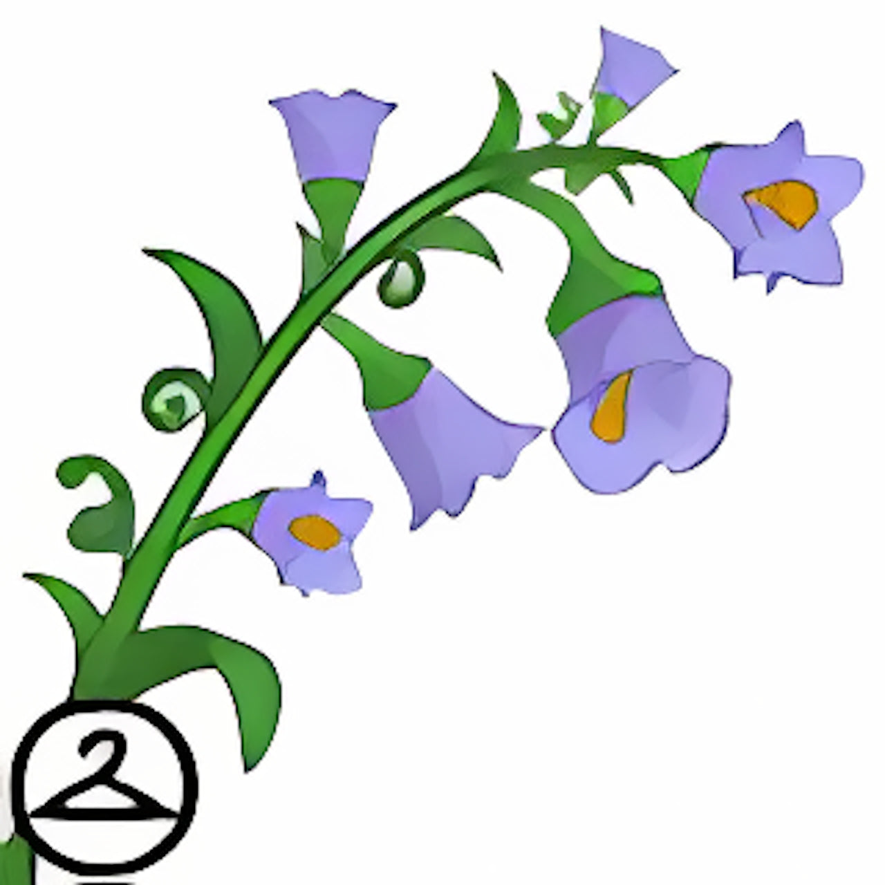 Bluebell Flower Sprout