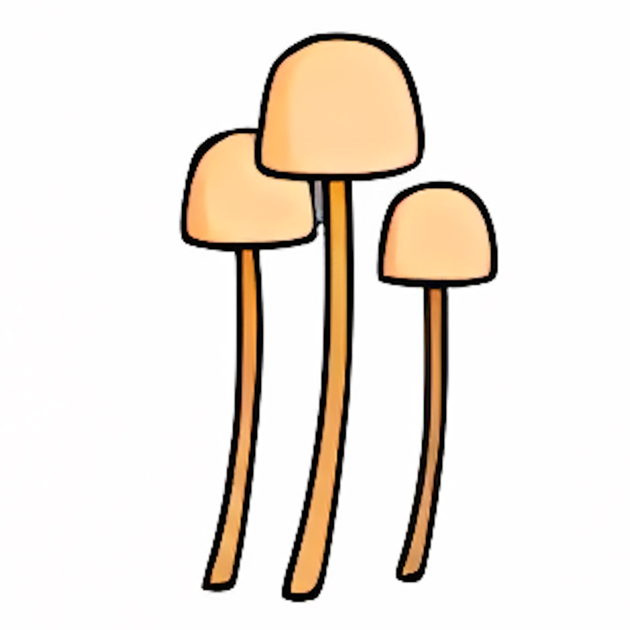 Spindly Mushrooms
