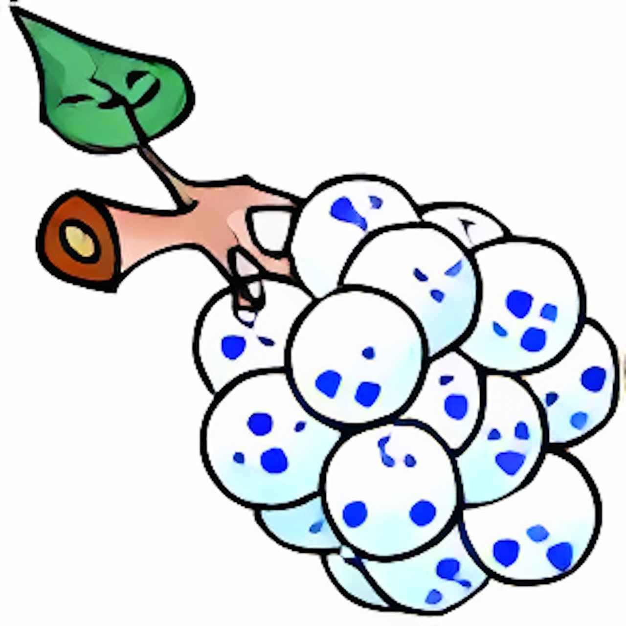 Snowberries