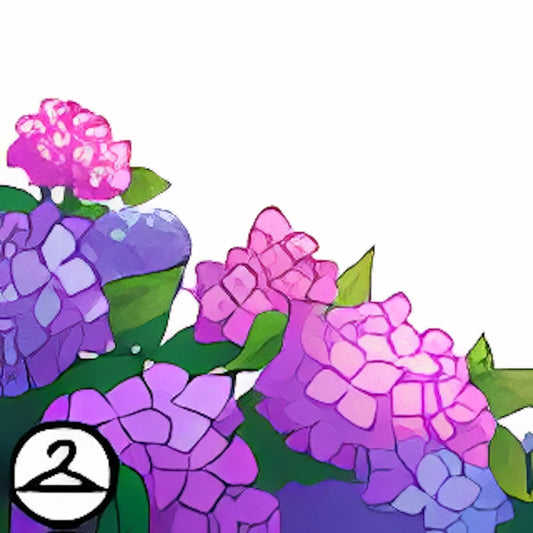 Plentiful Hydrangea Flowers Foreground