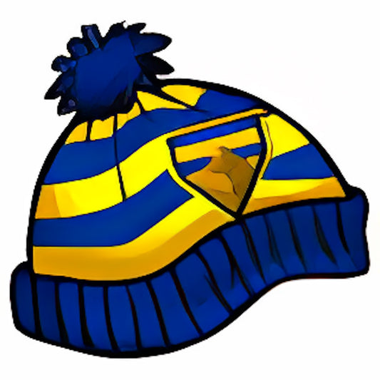 Lost Desert Team Beanie