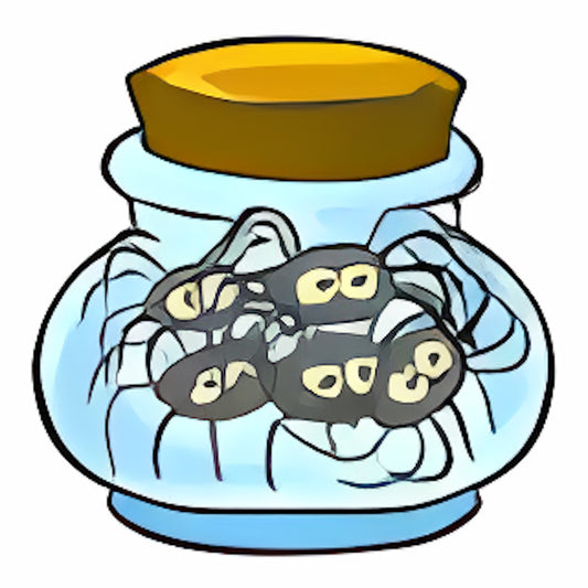 Jar of Spiders