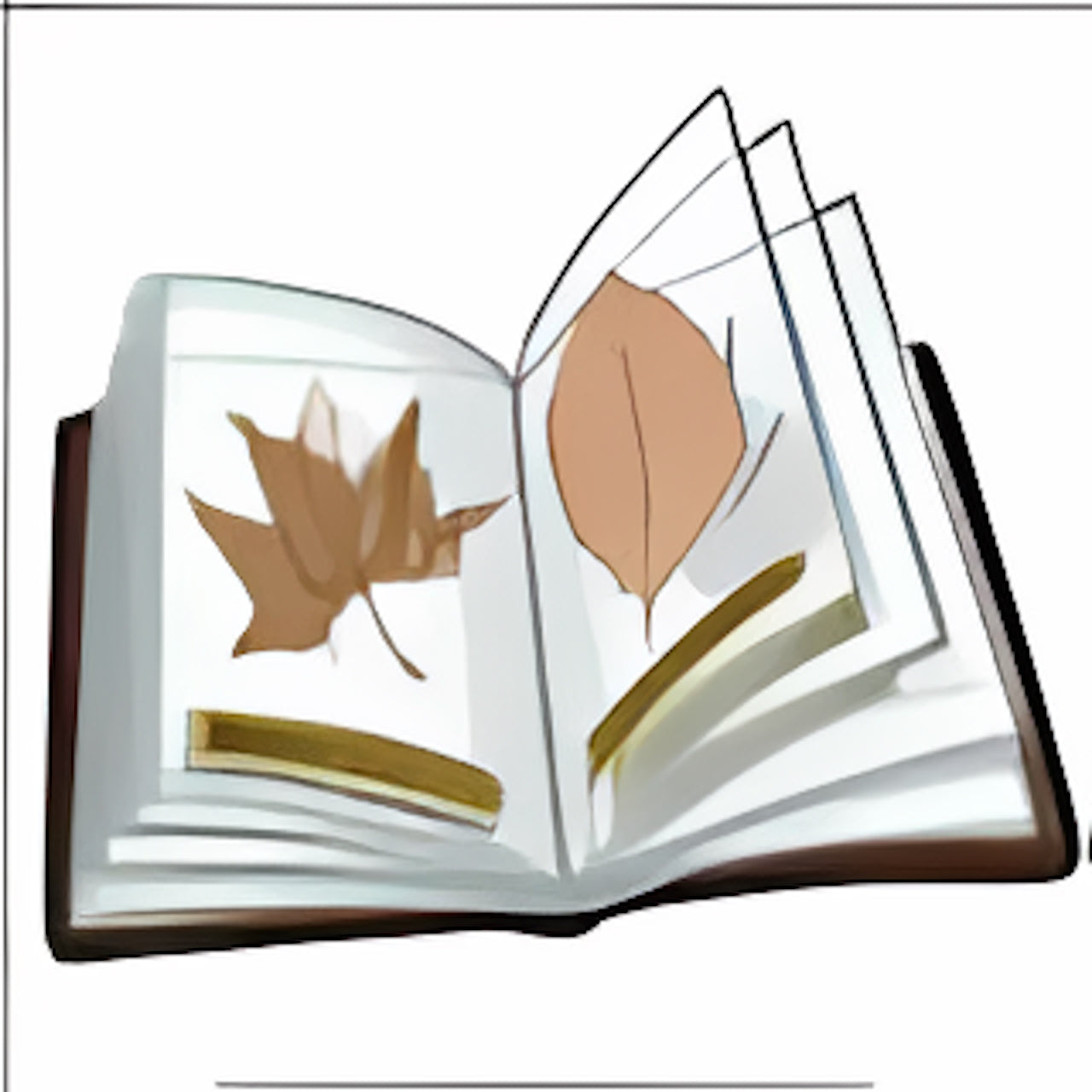 Leaf Skeleton Album