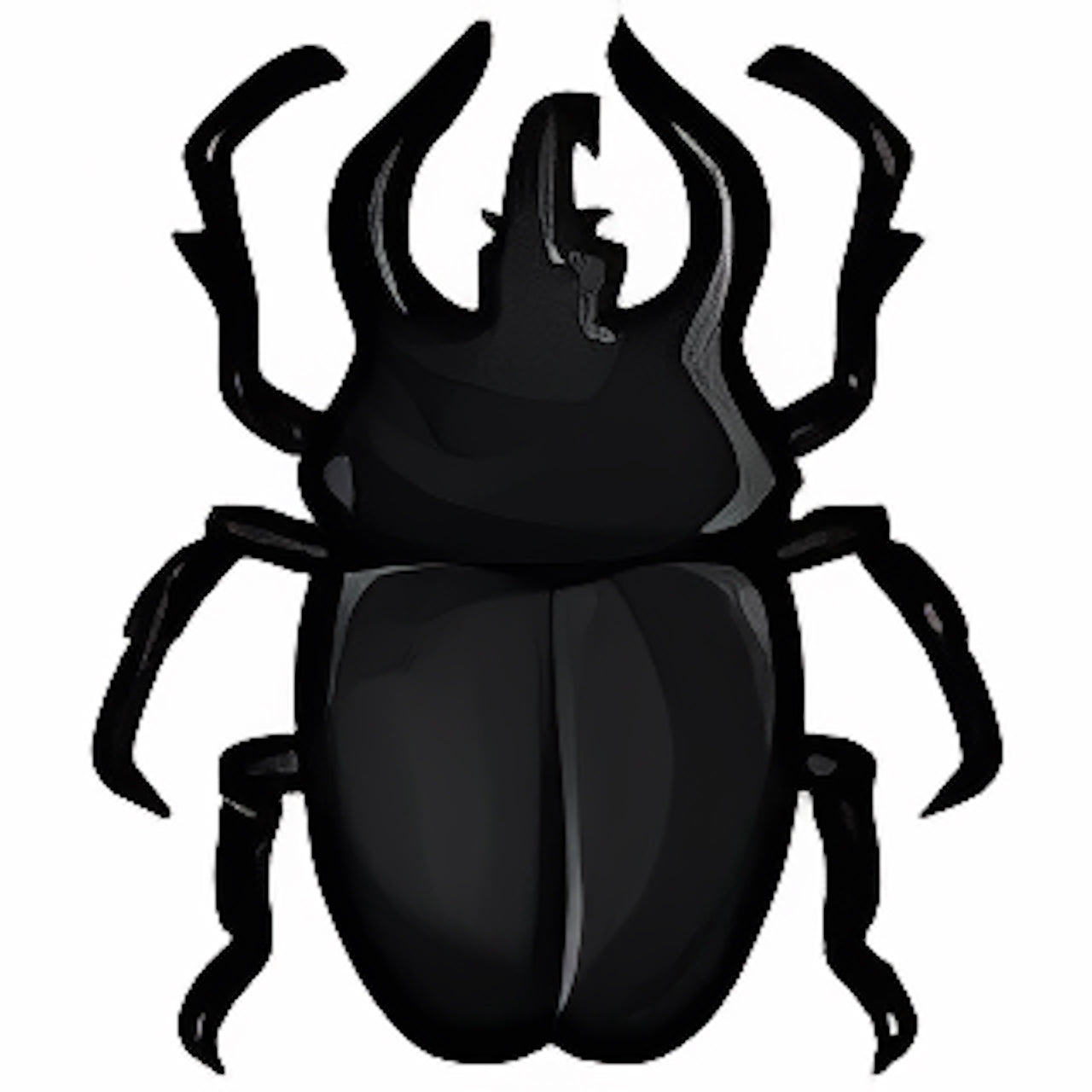 Large Black Collectable Scarab