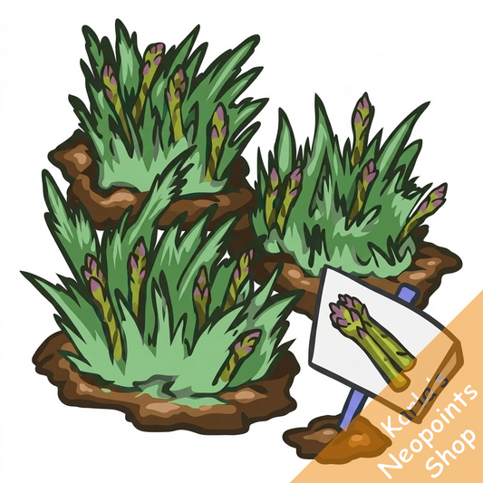 Asparagus Garden