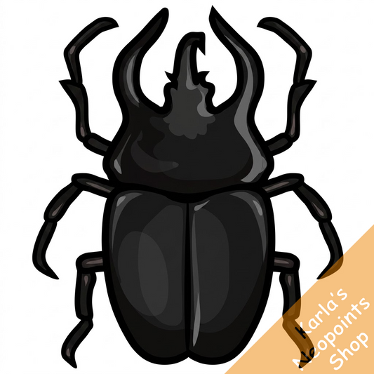 Large Black Collectable Scarab