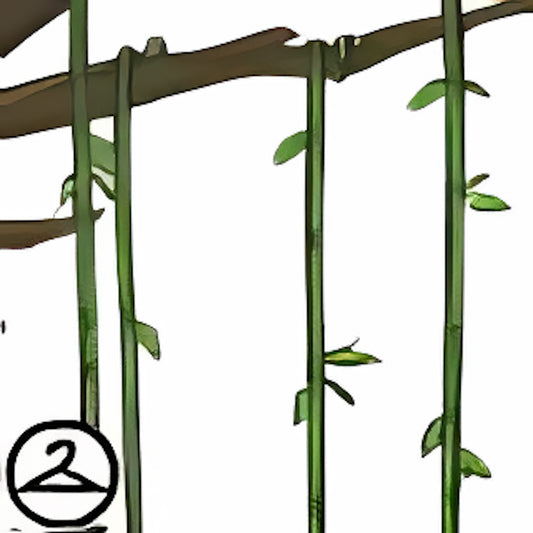 Leafy Vines