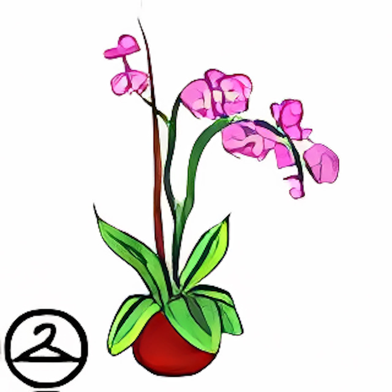 Illusens Potted Orchid