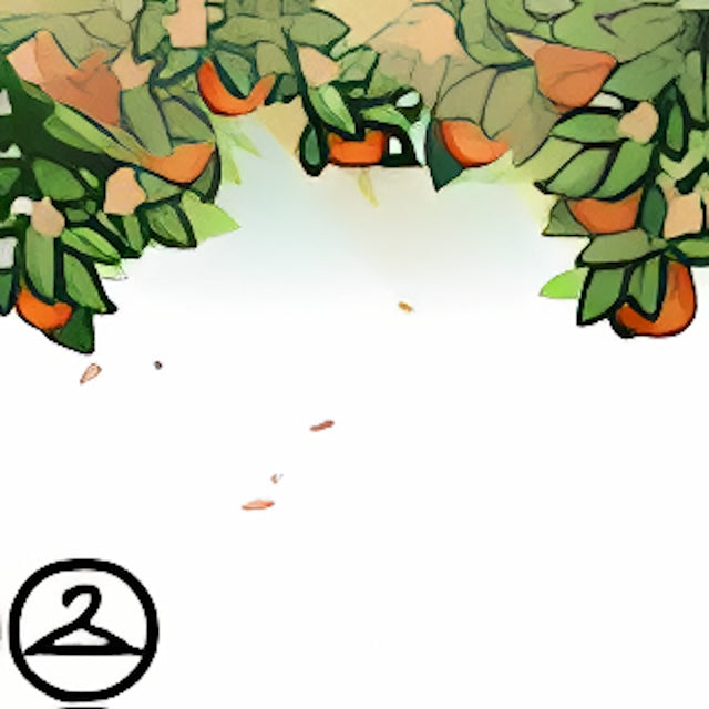 Citrus Blossom Garland