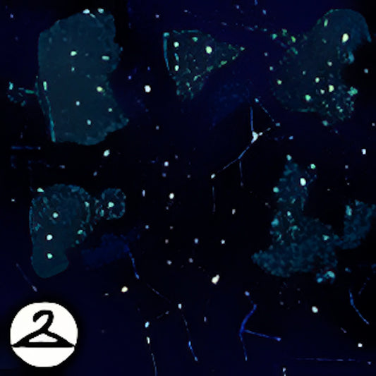 Constellations Background