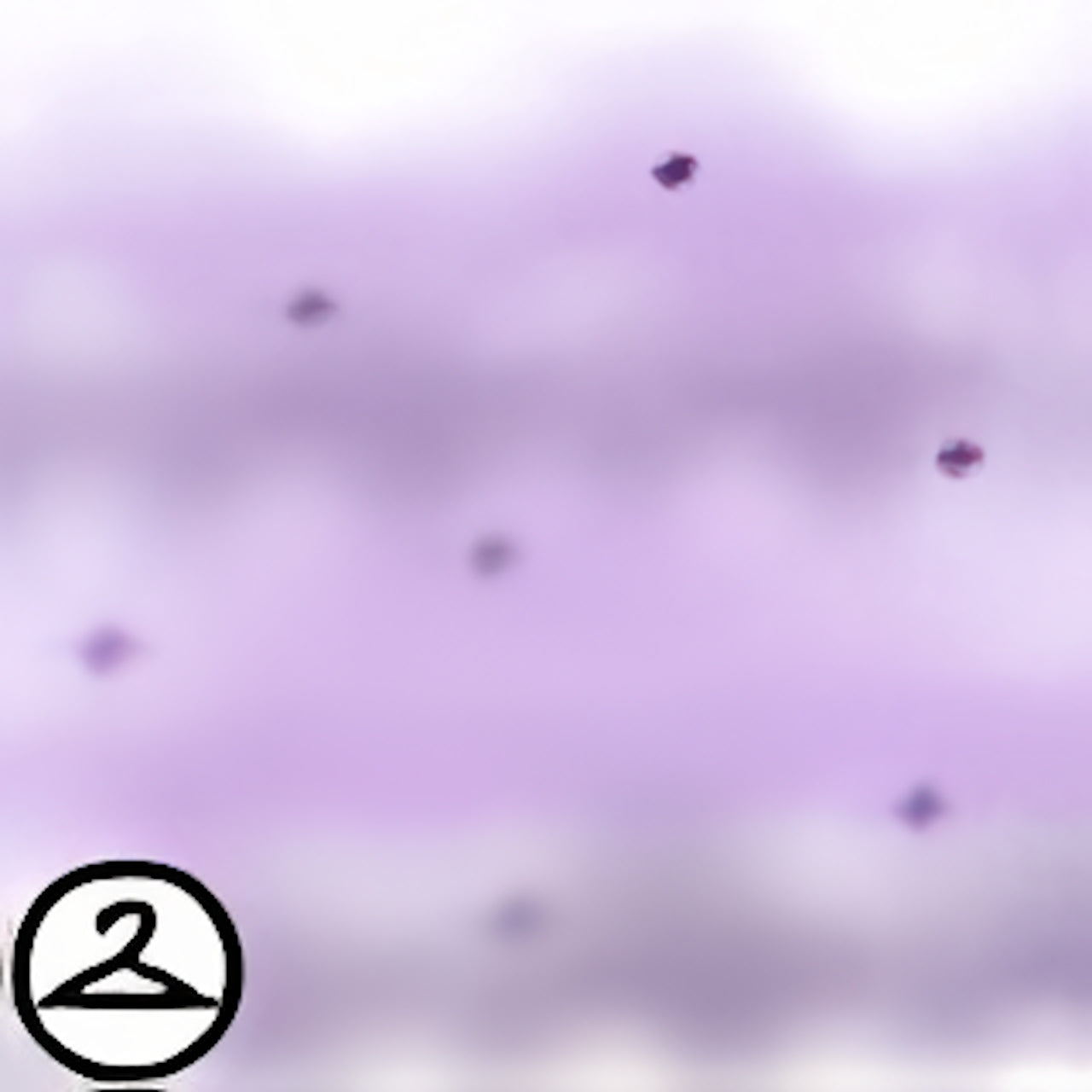 Dyeworks Lavender: Sparkling Fog