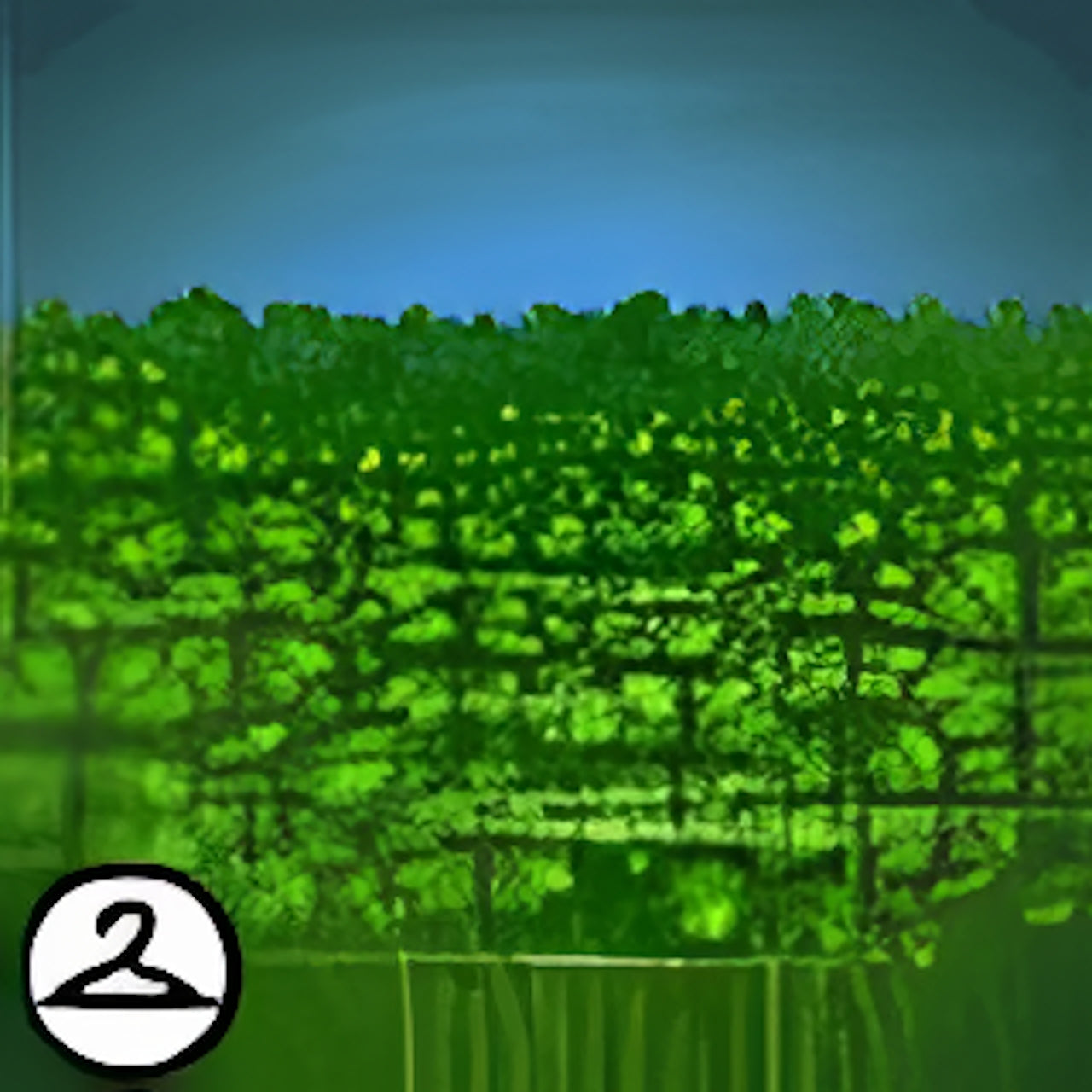 Premium Collectible: Amidst the Cloverfield