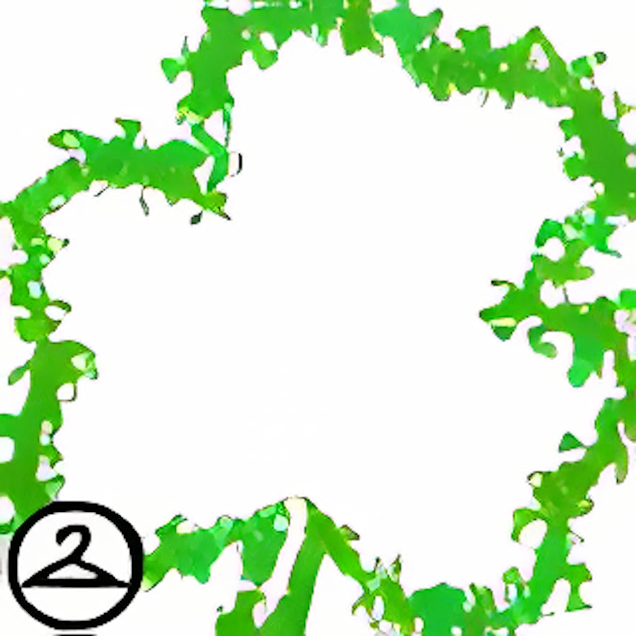 Premium Collectible: Shamrock Frame