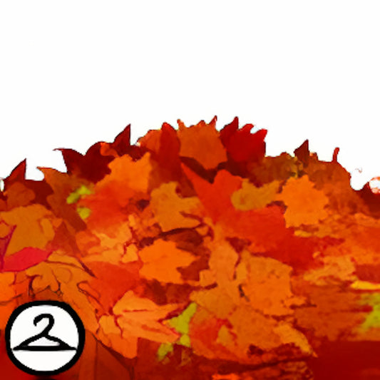 Within the Autumn Leaves