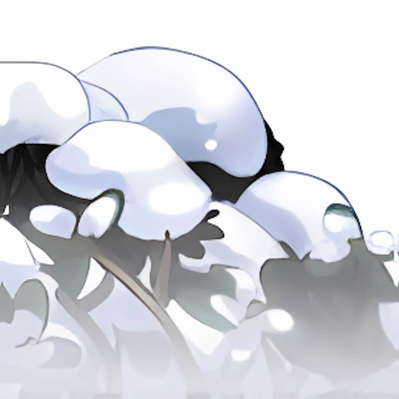 Dyeworks Black: Snow Covered Flowers Foreground
