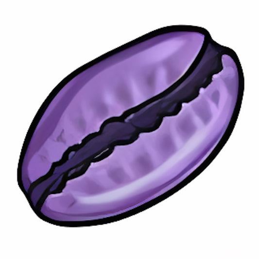 Lavender Cowry Shell