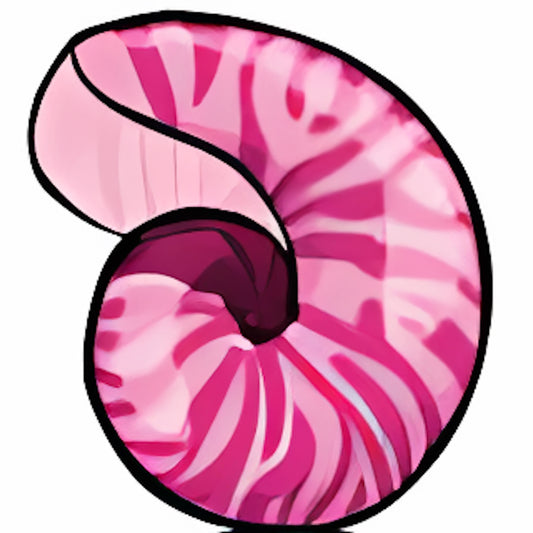 Pink Curly Shell