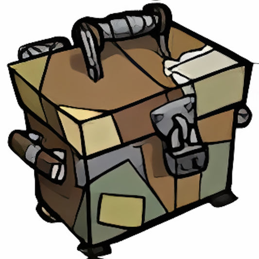 Travel Case